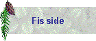 Fis side